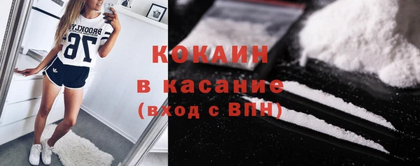 ГАЛЛЮЦИНОГЕННЫЕ ГРИБЫ Белокуриха