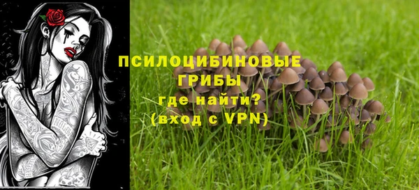 ГАЛЛЮЦИНОГЕННЫЕ ГРИБЫ Белокуриха