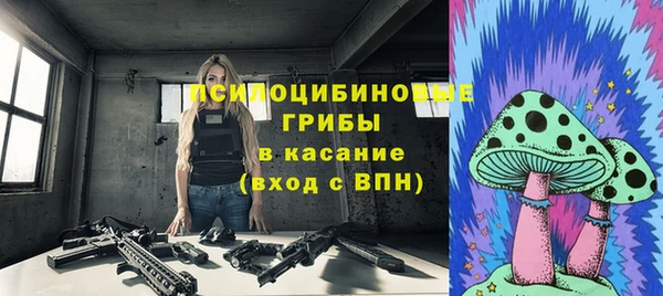 ГАЛЛЮЦИНОГЕННЫЕ ГРИБЫ Белокуриха