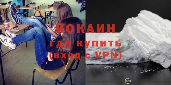 ГАЛЛЮЦИНОГЕННЫЕ ГРИБЫ Белокуриха