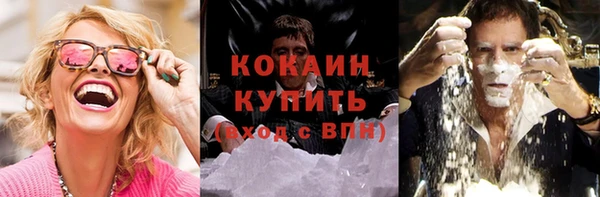ГАЛЛЮЦИНОГЕННЫЕ ГРИБЫ Белокуриха